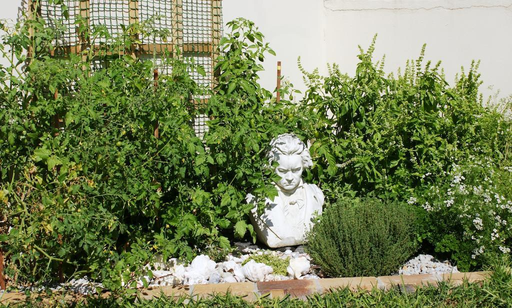 Le Marina B&B Velddrif Bagian luar foto