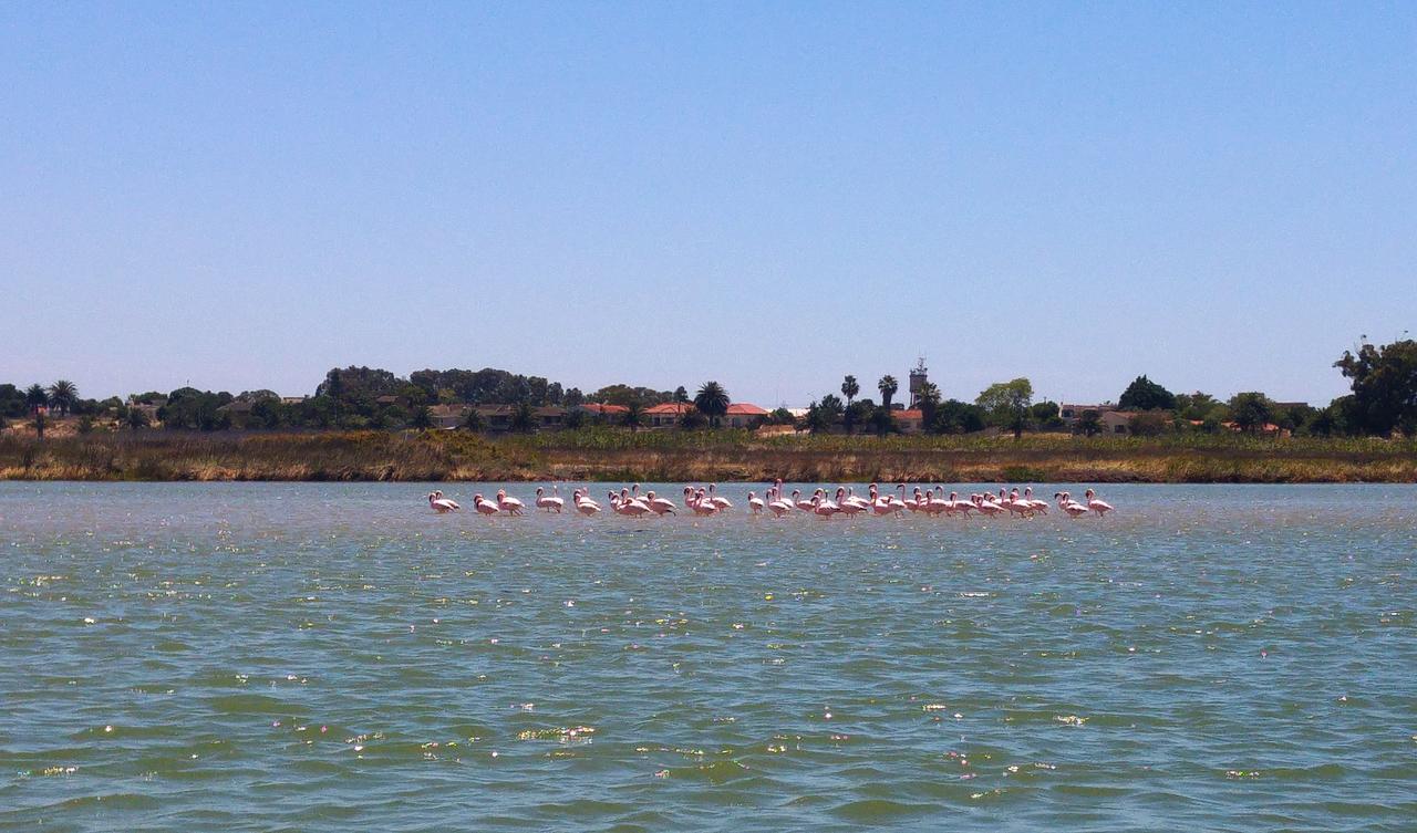 Le Marina B&B Velddrif Bagian luar foto
